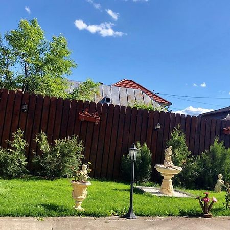 Hotel Casa Alexia Haţeg Esterno foto
