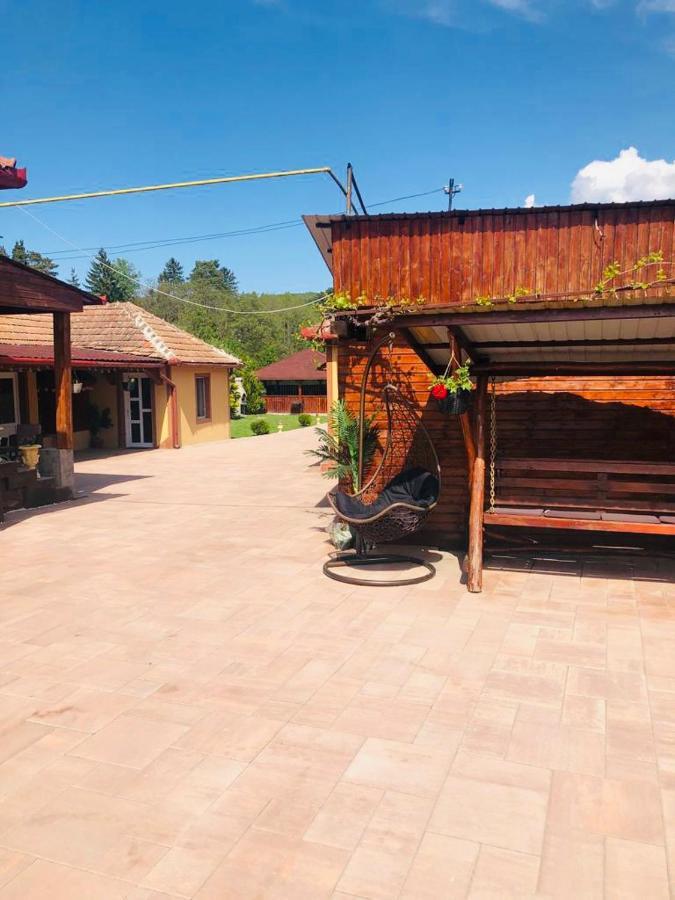Hotel Casa Alexia Haţeg Esterno foto