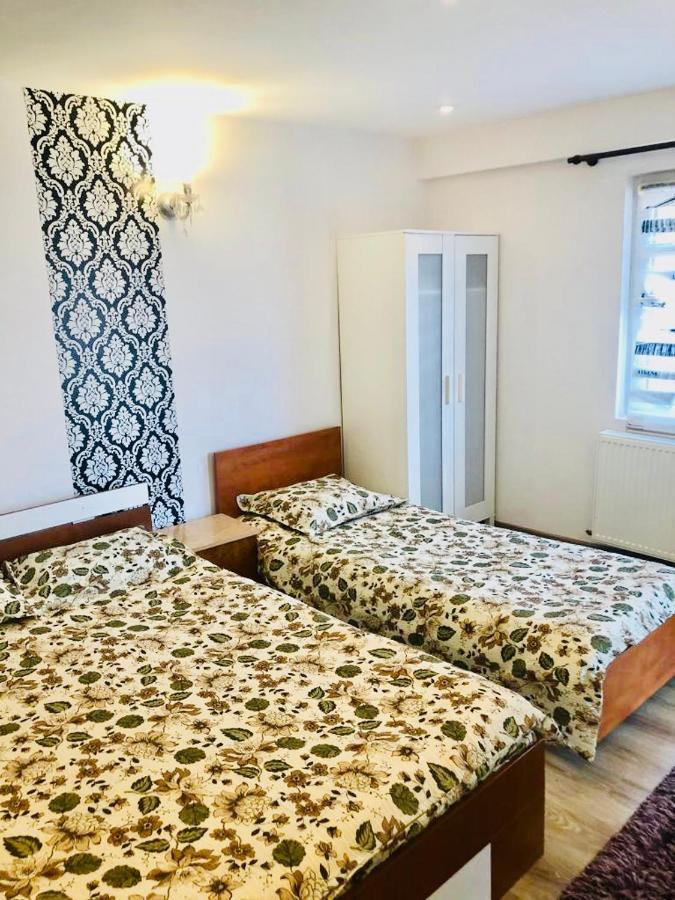 Hotel Casa Alexia Haţeg Esterno foto