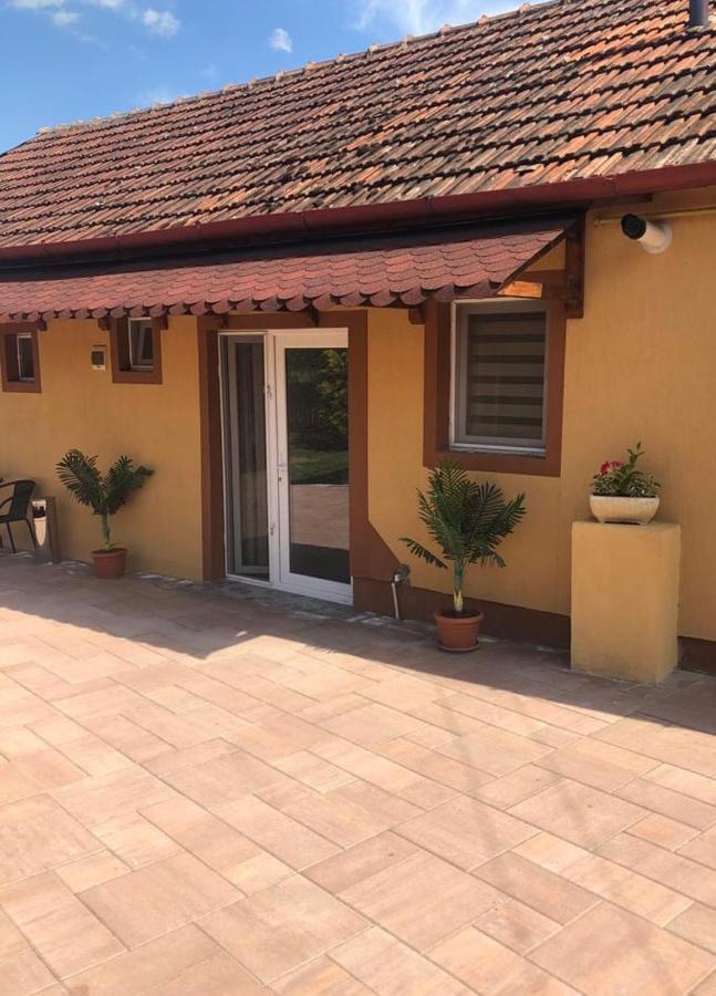 Hotel Casa Alexia Haţeg Esterno foto