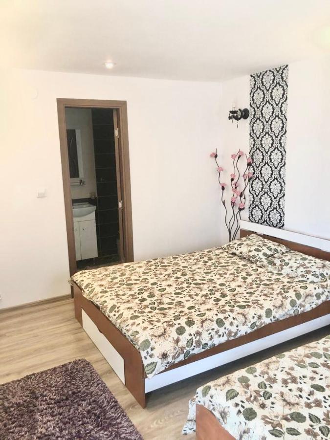 Hotel Casa Alexia Haţeg Esterno foto