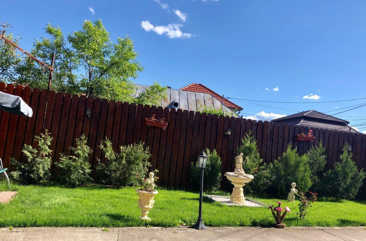 Hotel Casa Alexia Haţeg Esterno foto